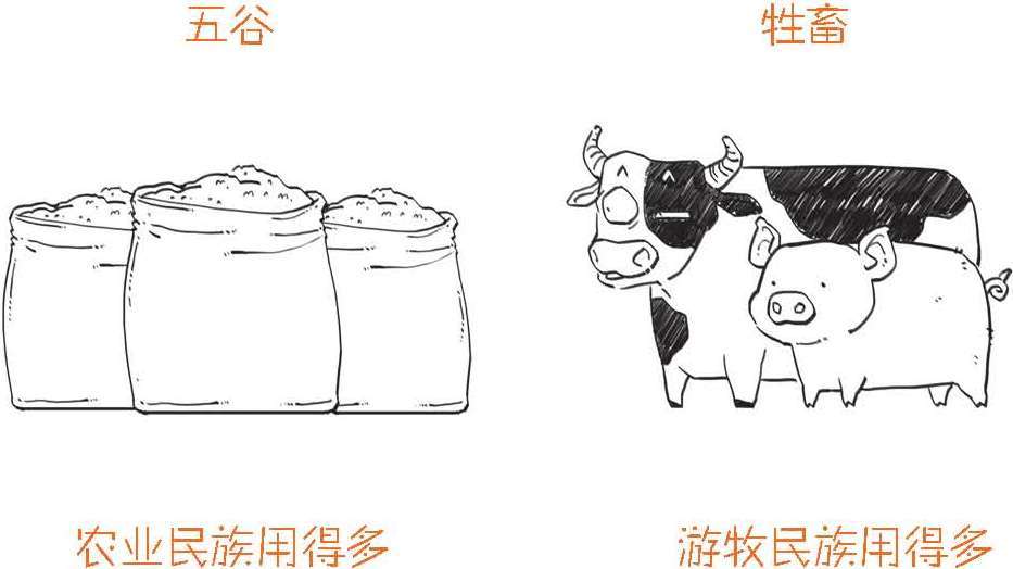 二、货币的起源：钱打哪儿来的 - 图12