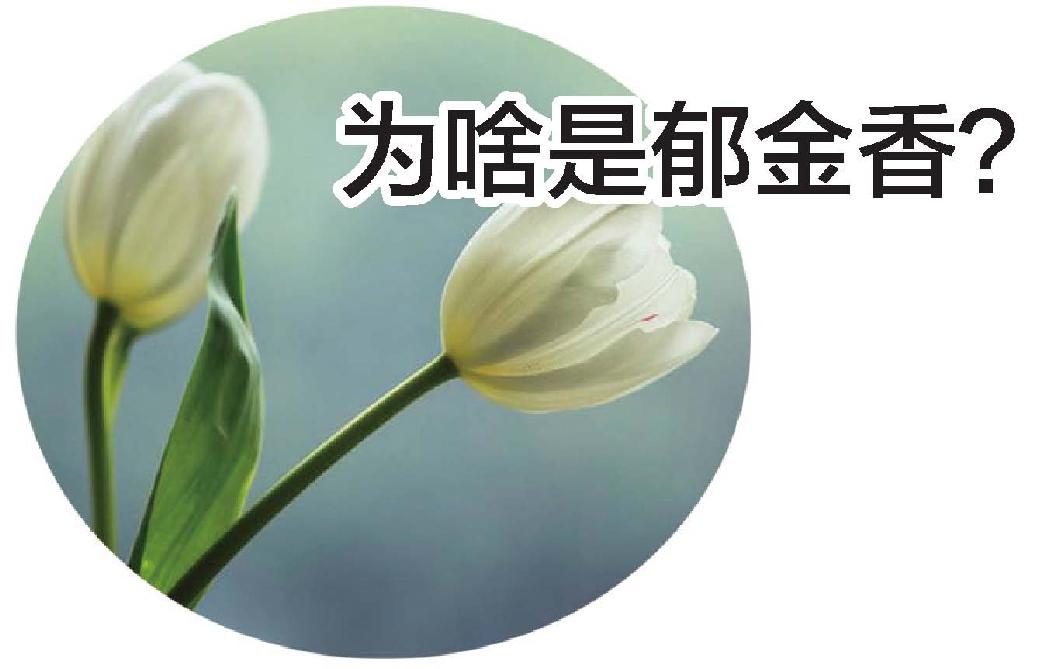 四、一朵花酿成的惨案：郁金香泡沫(下) - 图8
