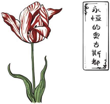 四、一朵花酿成的惨案：郁金香泡沫(下) - 图37