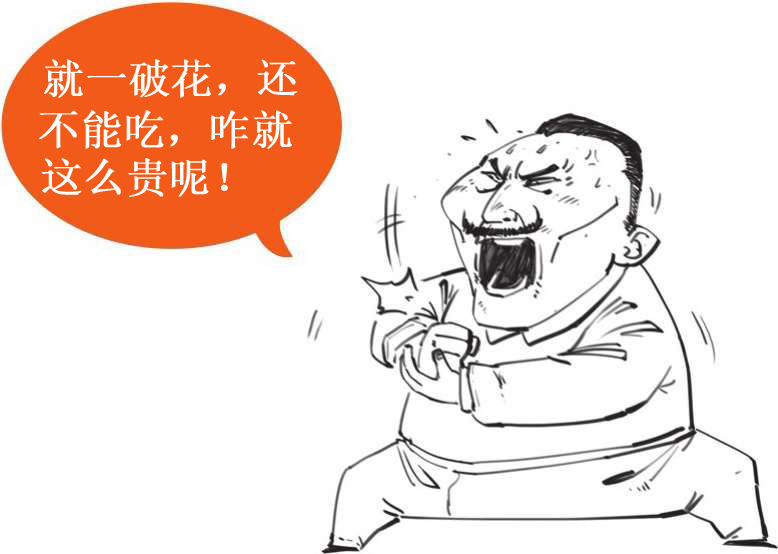 四、一朵花酿成的惨案：郁金香泡沫(下) - 图48