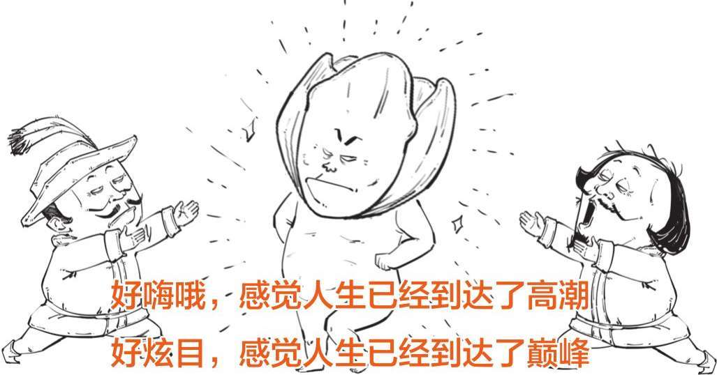 四、一朵花酿成的惨案：郁金香泡沫(下) - 图36