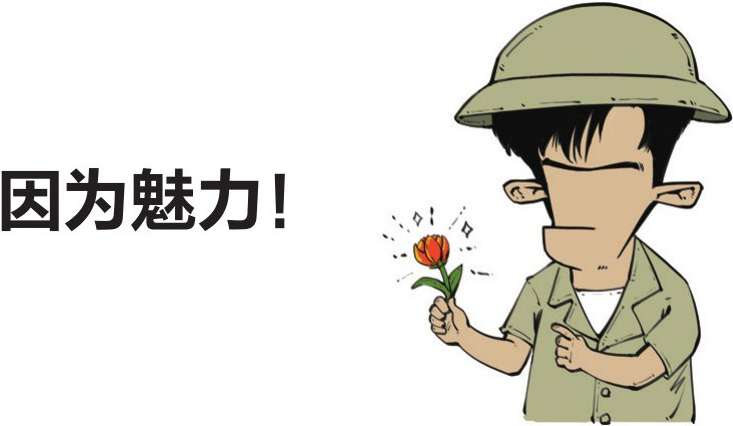 四、一朵花酿成的惨案：郁金香泡沫(下) - 图15