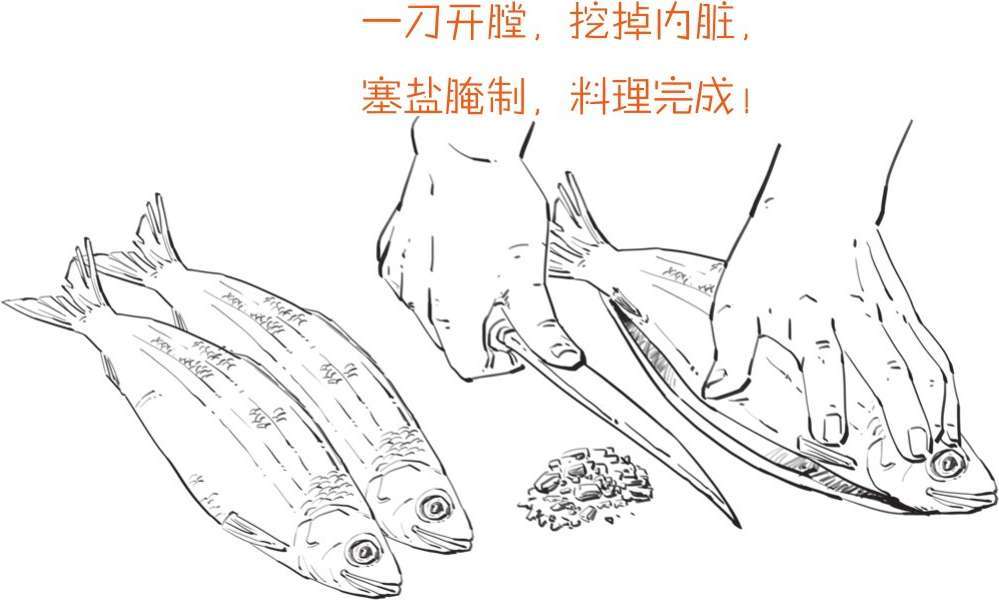 三、一朵花酿成的惨案：郁金香泡沫(上) - 图15