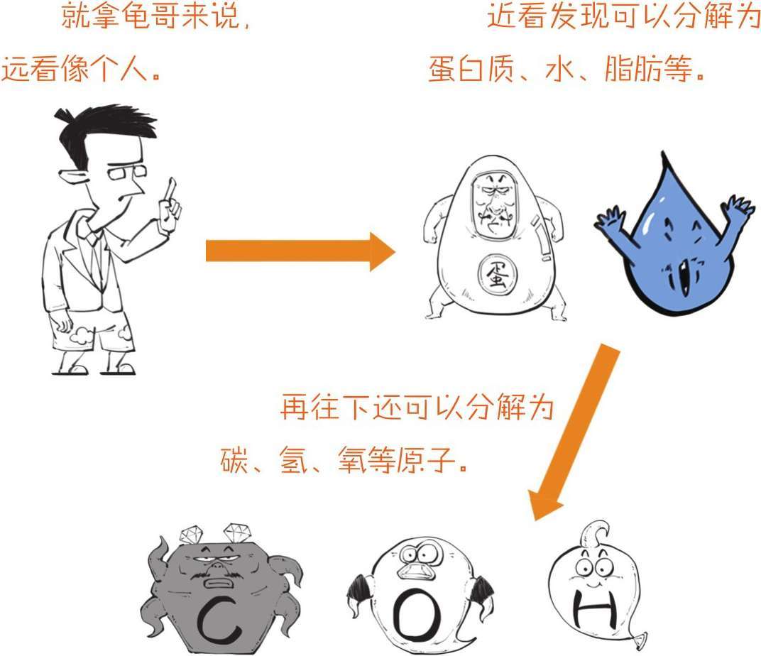 三、搞正经化学，从认清元素开始 - 图5