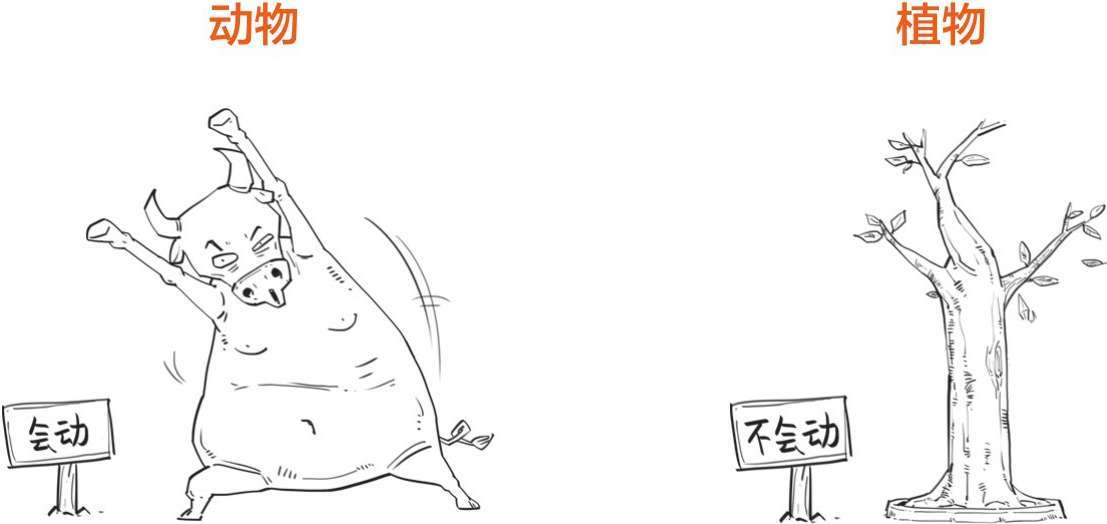 八、十八世纪的博物学家，怎么一个比一个奇葩 - 图8