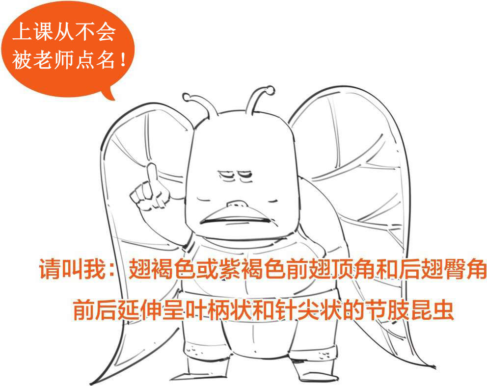 八、十八世纪的博物学家，怎么一个比一个奇葩 - 图15