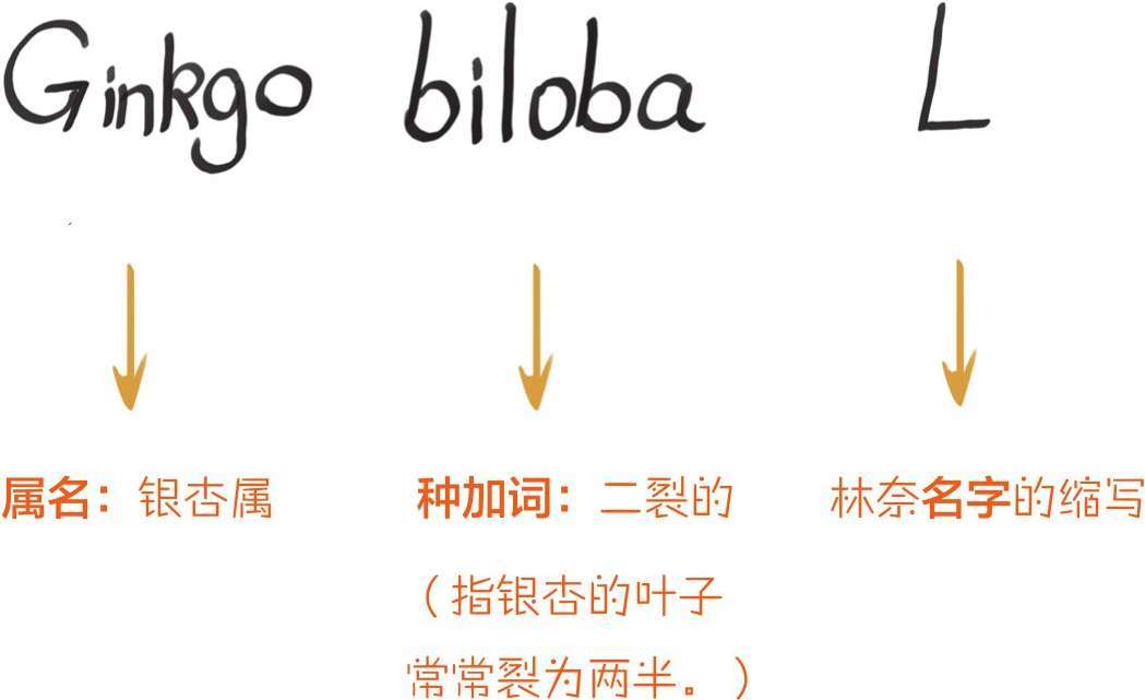 八、十八世纪的博物学家，怎么一个比一个奇葩 - 图25