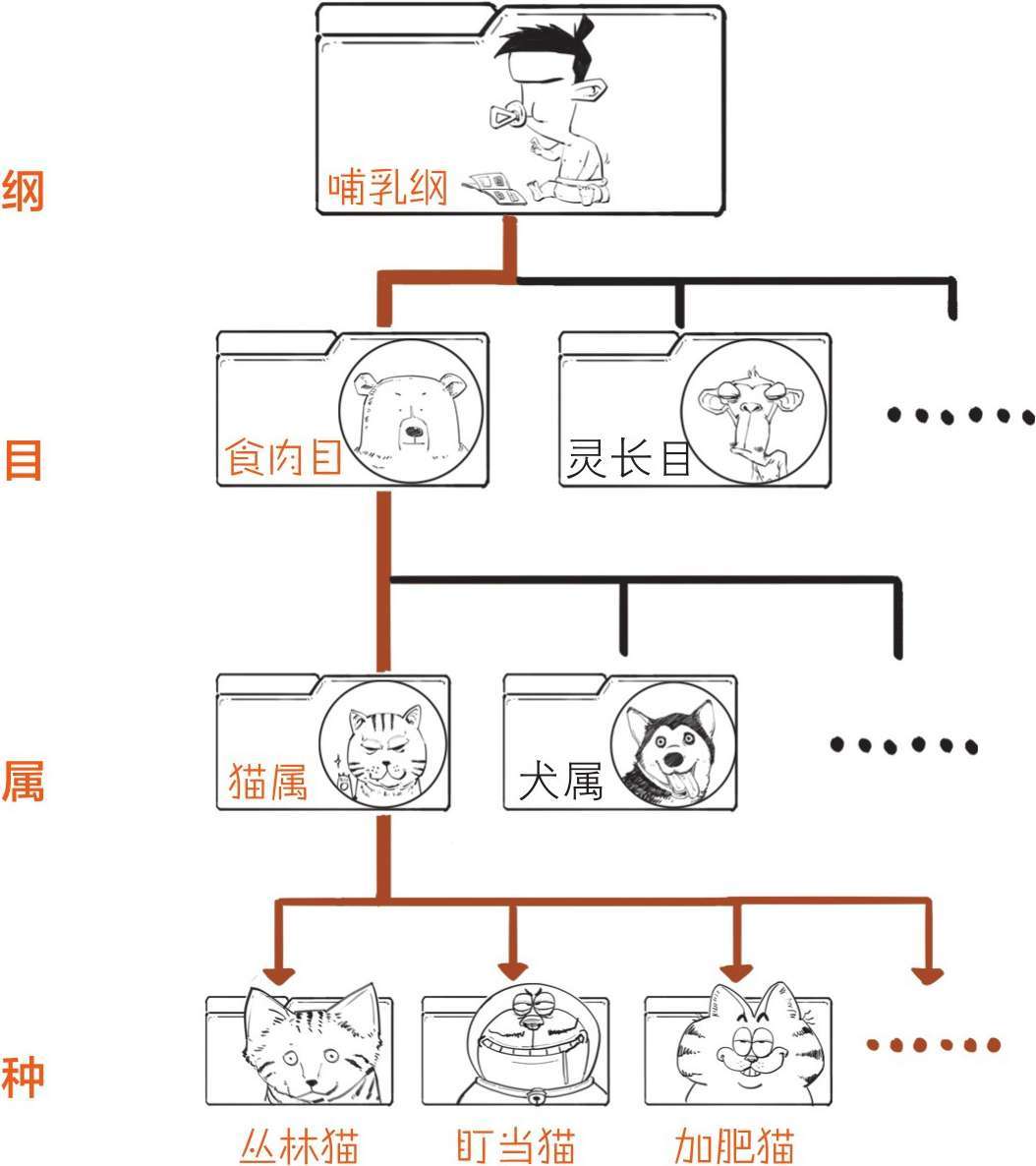八、十八世纪的博物学家，怎么一个比一个奇葩 - 图30