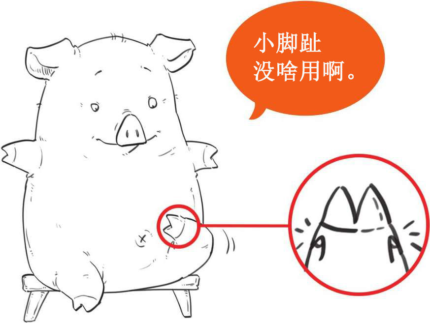 八、十八世纪的博物学家，怎么一个比一个奇葩 - 图43