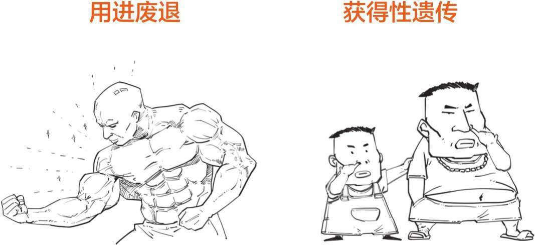九、你不知道的进化论 - 图14