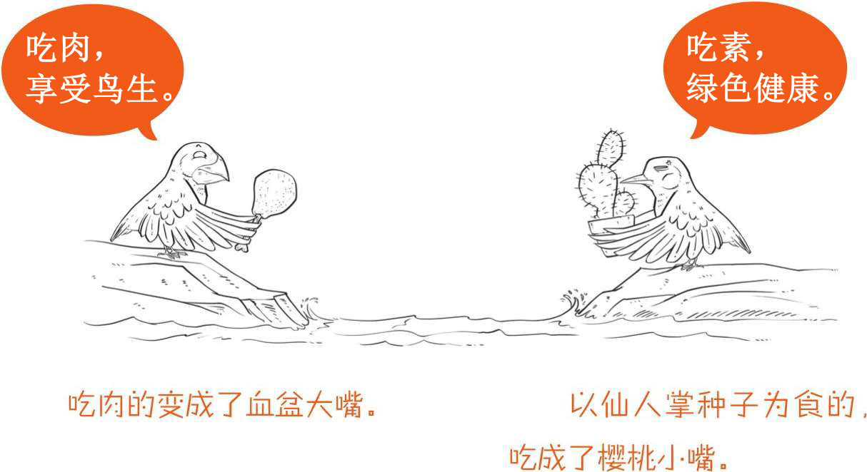 九、你不知道的进化论 - 图43