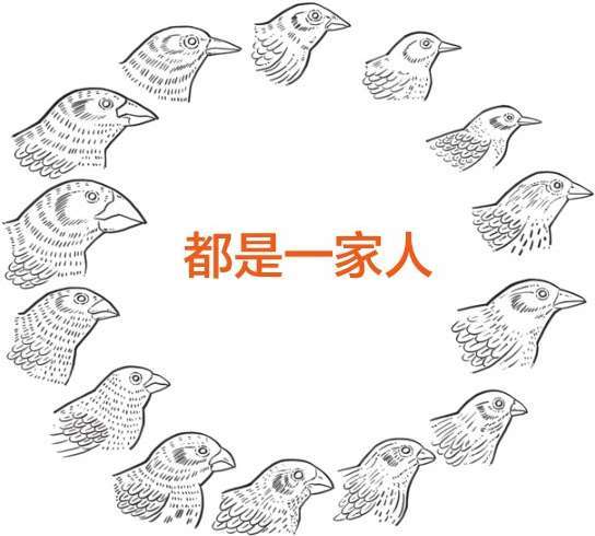 九、你不知道的进化论 - 图44