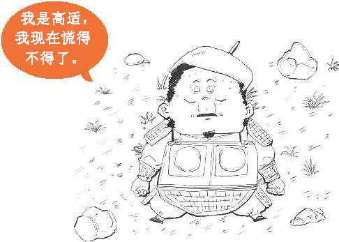七、边塞诗派代表(一)：带刀诗人高适 - 图31