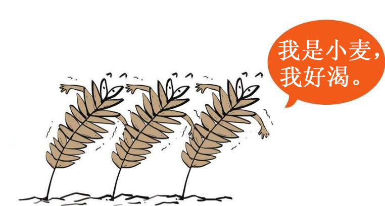 十、二十四节气——古代劳动人民的大智慧 - 图17