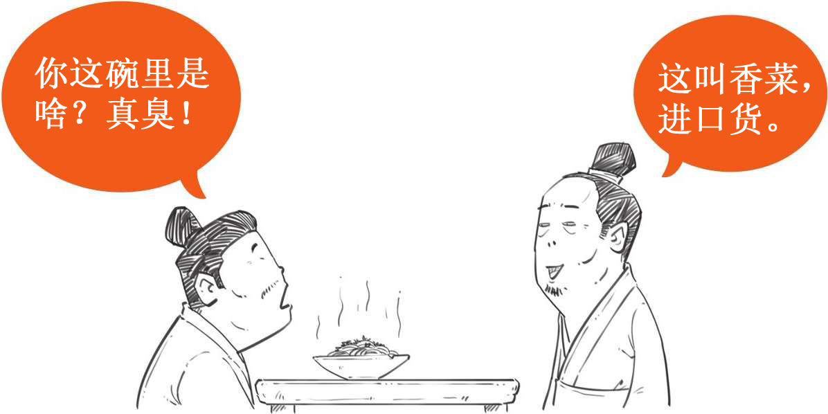 十、西汉番外篇之丝绸之路 - 图35