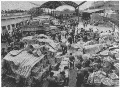1989 “倒春寒” - 图1