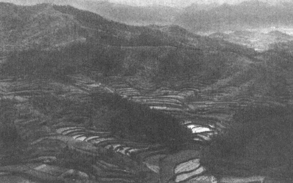 第三章 繁荣时代 - 图11
