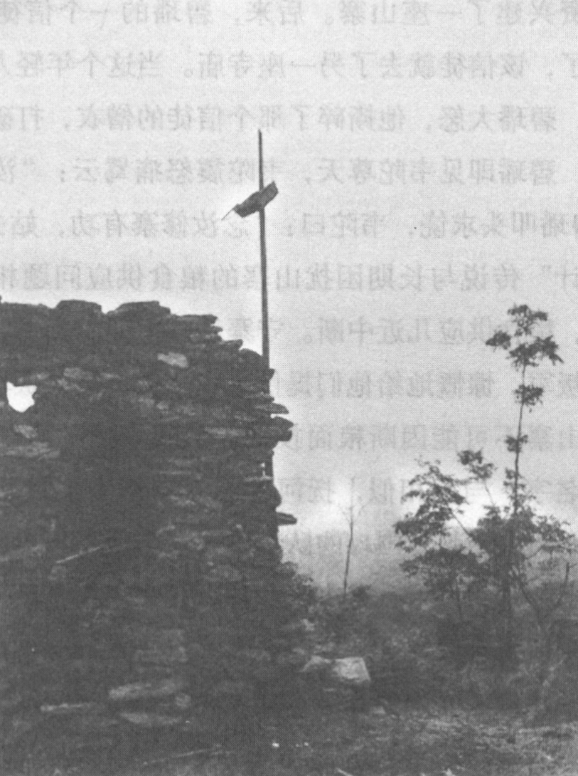 第五章 在虎口之中 - 图80