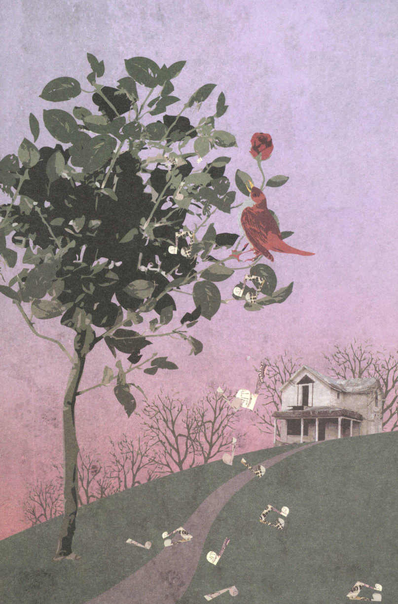 The Nightingale and the Rose - 图1