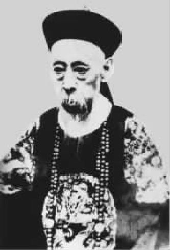第十三章 假维新中的真改革 - 图2