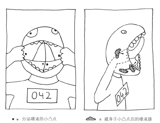 通往消化道的入口也很神奇 - 图1