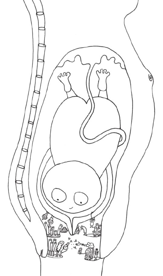 肠道菌群进化论 - 图1