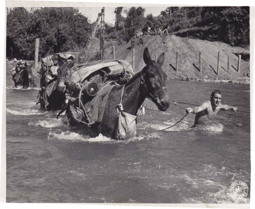 相互依存的戰時生活 Bondings during Wartime Life - 图1