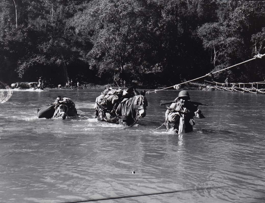 相互依存的戰時生活 Bondings during Wartime Life - 图2