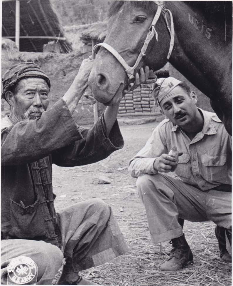 1944 SC-276765 - 图13