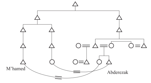 第三章 作为意象与意愿的亲属关系 - 图9