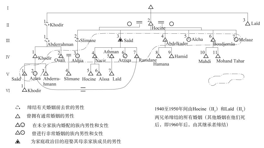 第三章 作为意象与意愿的亲属关系 - 图12