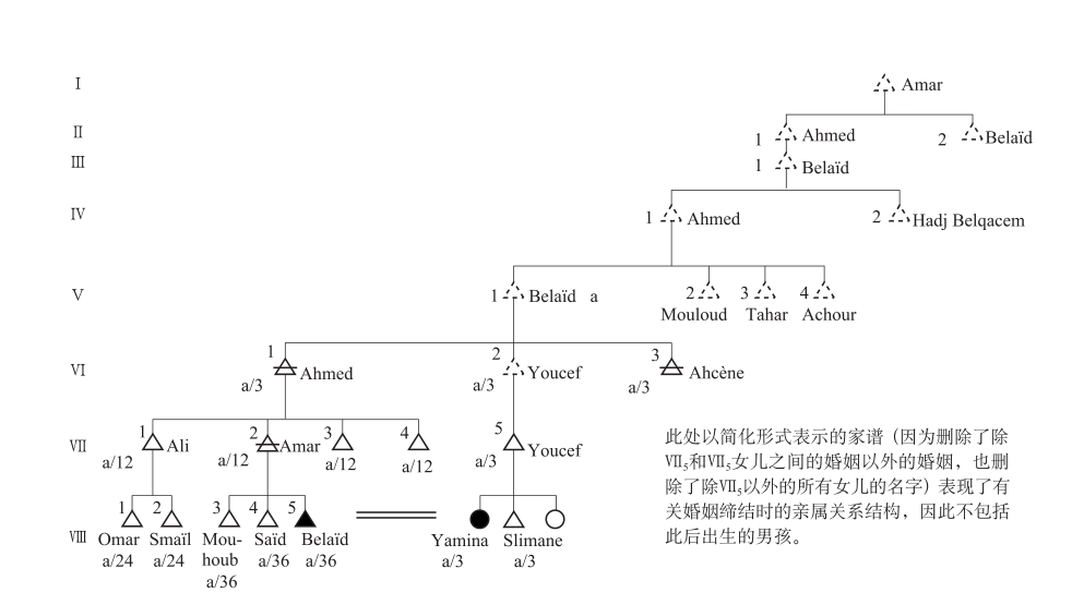 第三章 作为意象与意愿的亲属关系 - 图8