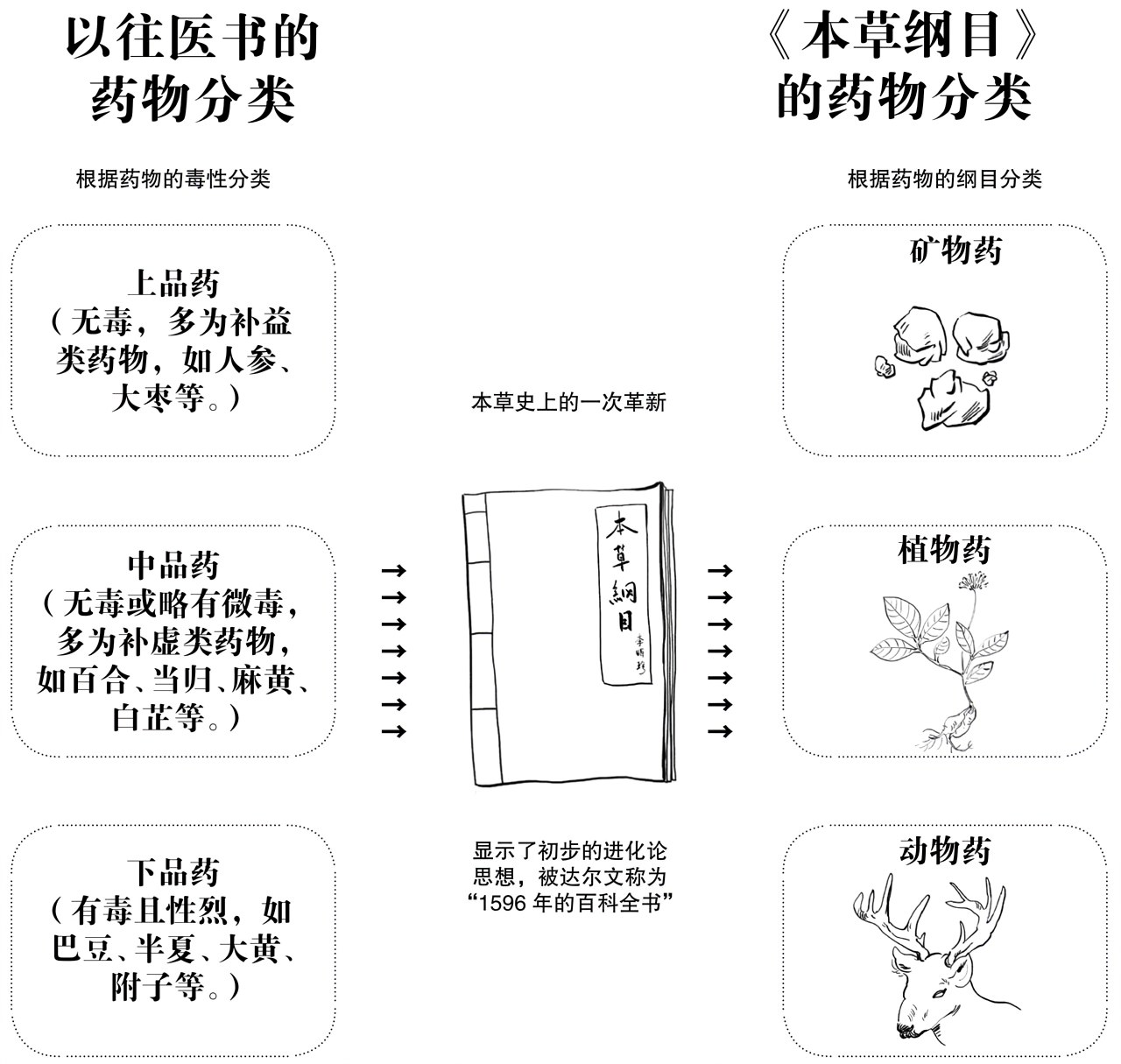 第三章成熟 - 图5