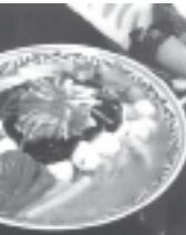 第三章 李鸿章西洋镜 - 图11