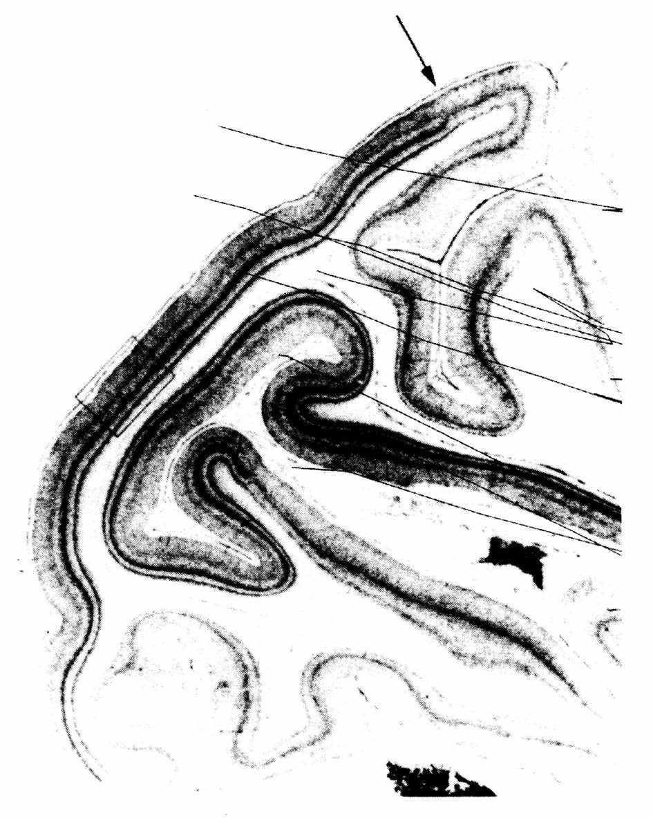 2 - 图22