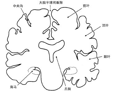 2 - 图3