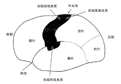 2 - 图5
