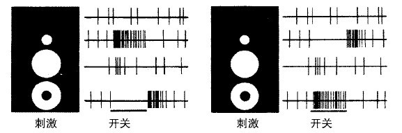 2 - 图17
