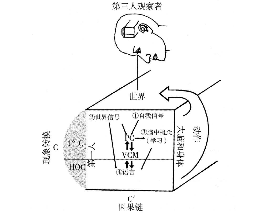 第10章 意识的理论和性质 - 图1
