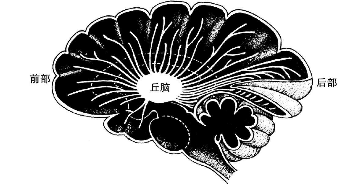 2 - 图2