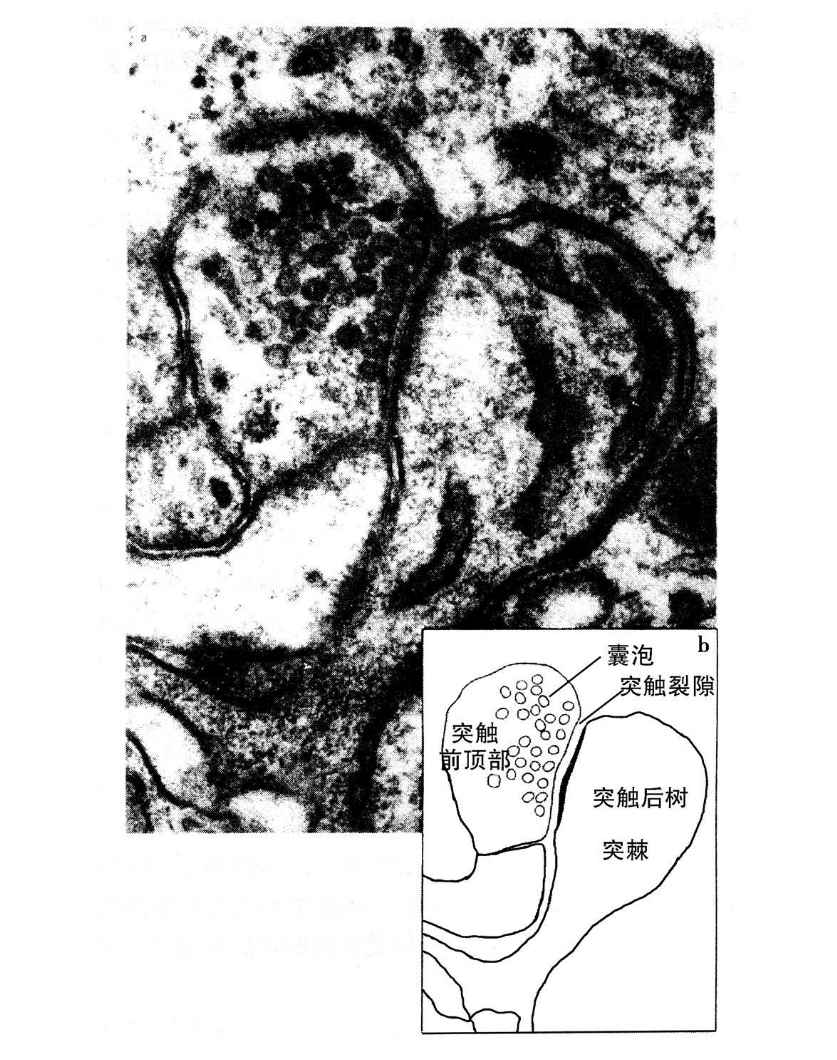 2 - 图12