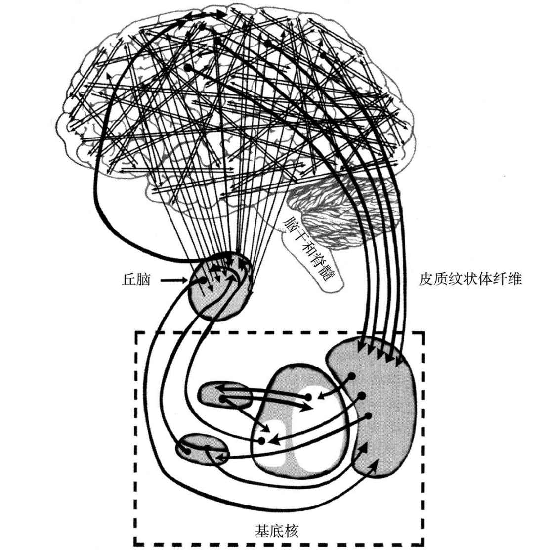 第6章 比天空更宽广——感知、统一性和复杂度 - 图2