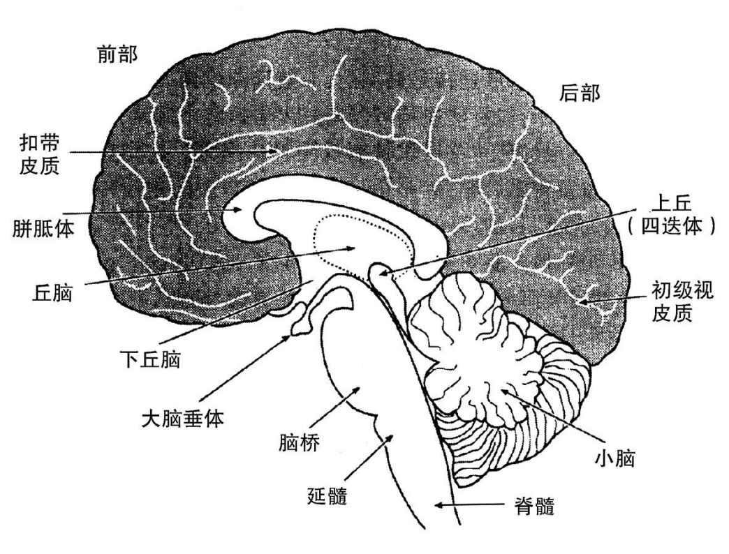 2 - 图1