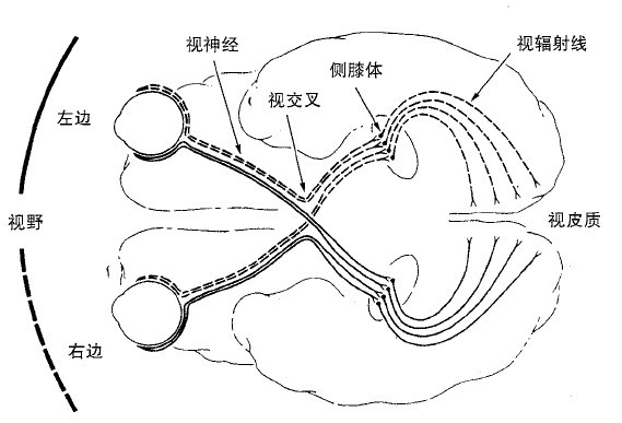2 - 图18