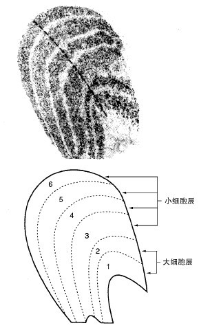 2 - 图19