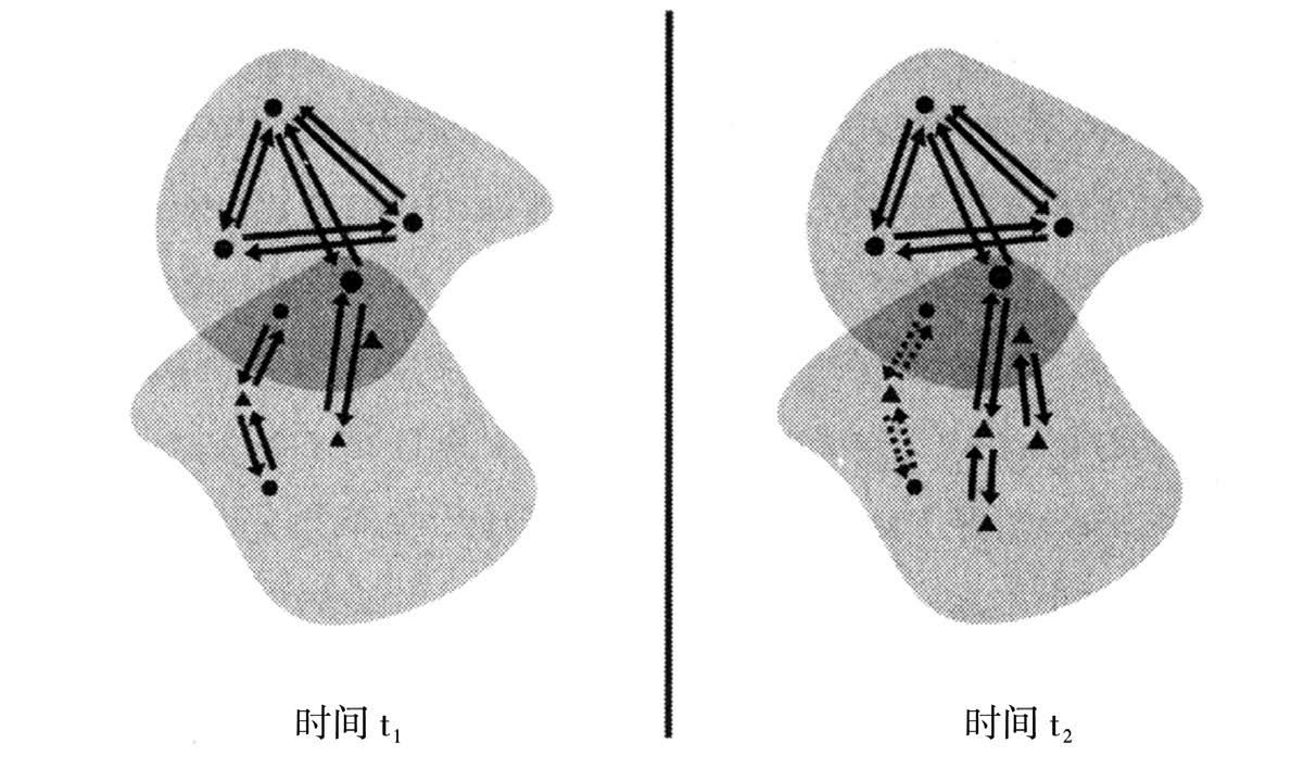 第10章 意识的理论和性质 - 图3