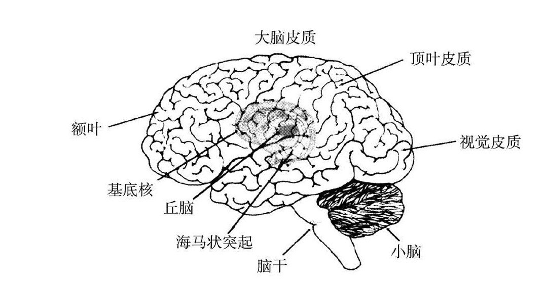 第2章 意识、身体和脑 - 图1