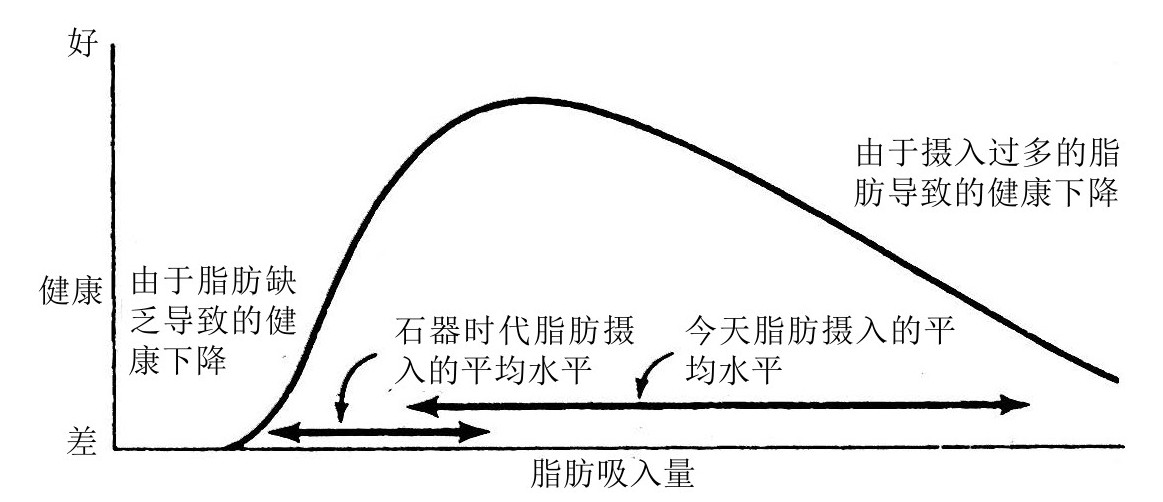 第10章 文明病 - 图1