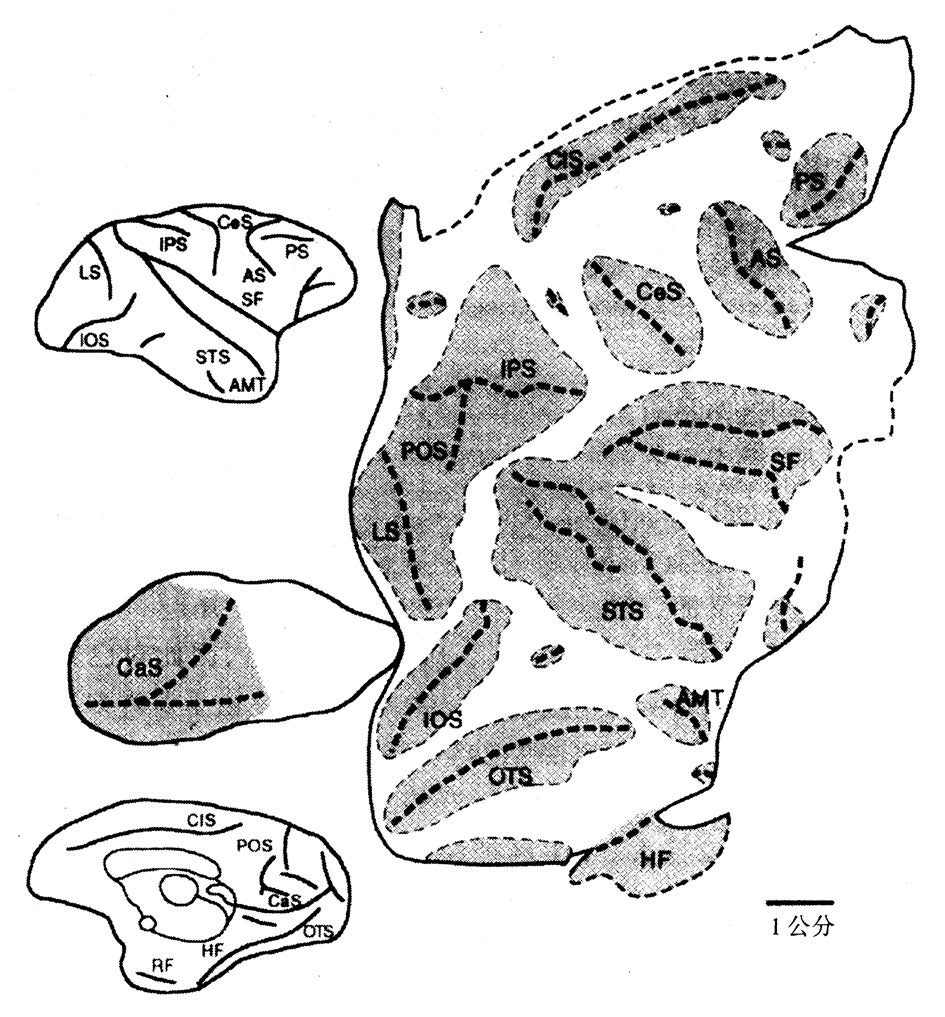 2 - 图25