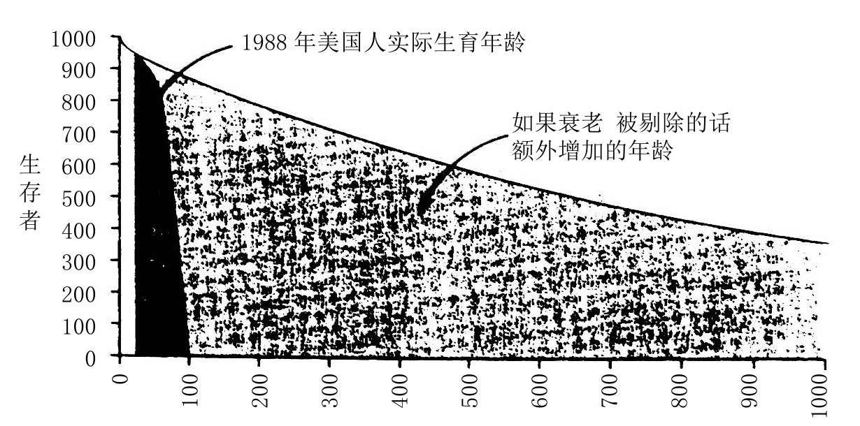 衰老是青春的代价 - 图2